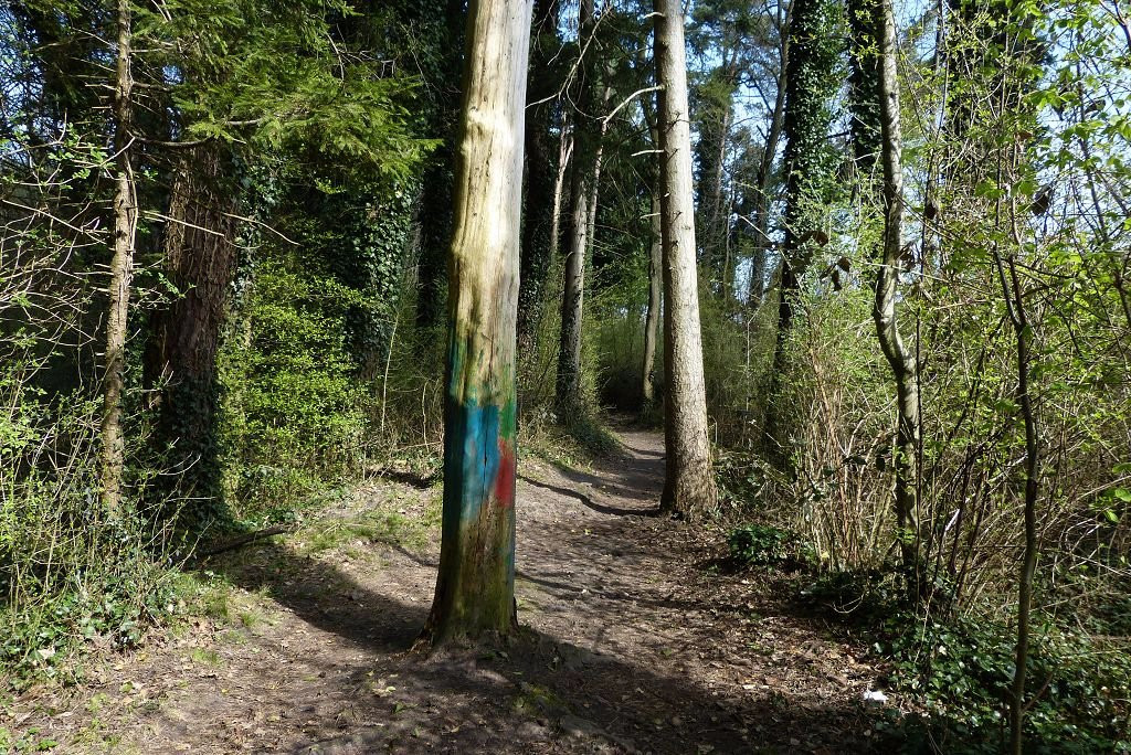 Nature Reserve Eselschwanz-圣马格雷滕必去景点
