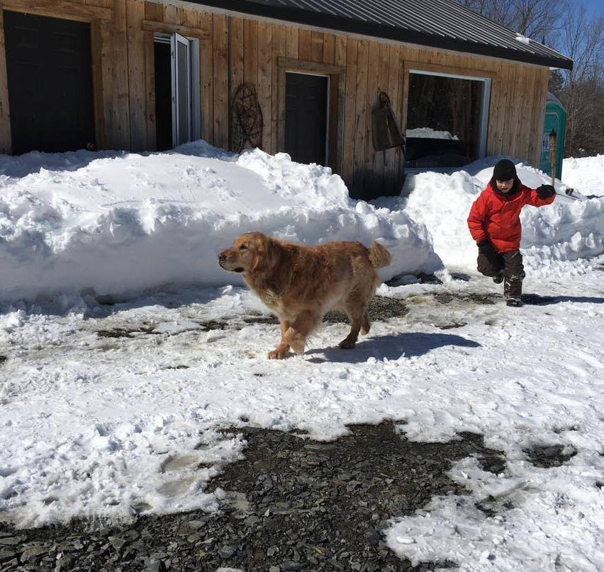 Erabliere Chic Rustique-Orford必去景点