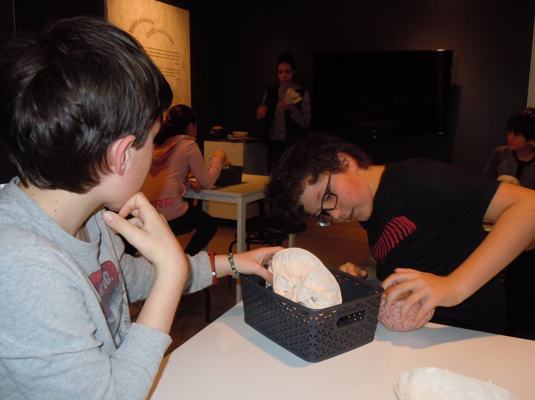 Musée de la santé Armand-Frappier-拉瓦尔必去景点