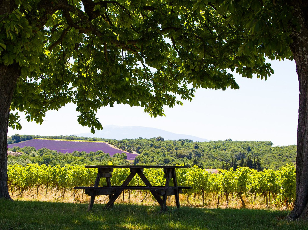 Domaine l'Ancienne Ecole