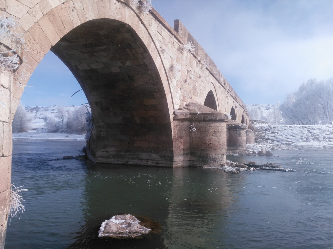 Kangal旅游景点-Bogaz Koprusu