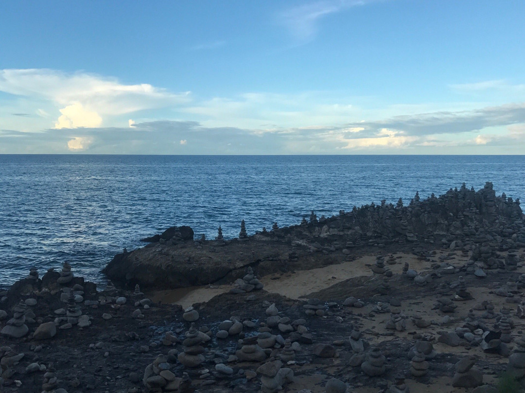 Cairns 4WD Tours景点图片