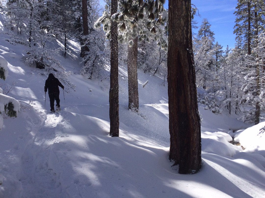Rim Nordic Cross Country Ski Center-Running Springs必去景点