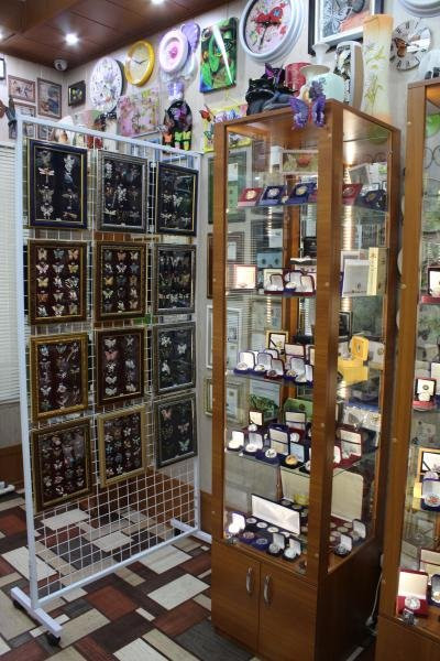 Apartment Museum of Butterfly and Dragonfly-Kasimov必去景点