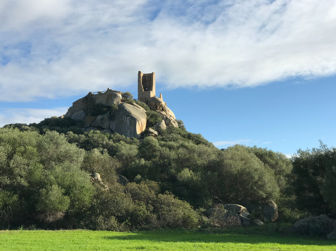 Castello di Pedres