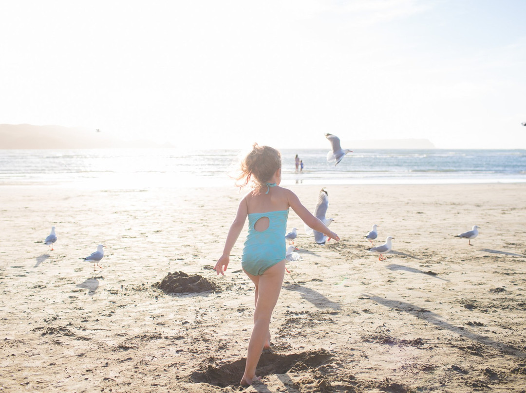 Plimmerton Beach-惠灵顿必去景点