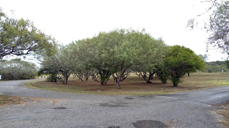 Howard Murph Memorial Park-罗克波特必去景点