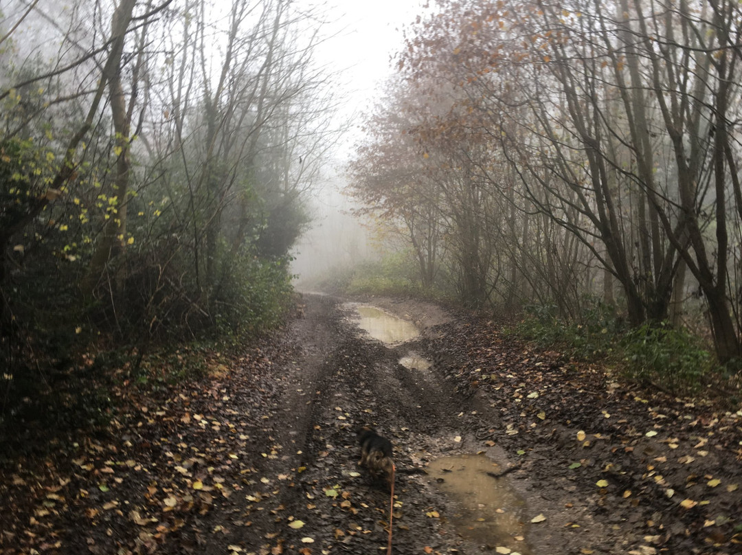 National Trust - Pepperbox Hill-Alderbury必去景点