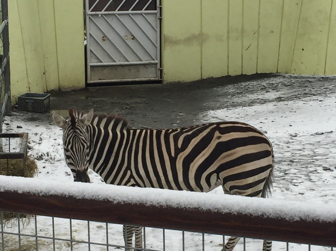 Kushiro City Zoo-钏路市必去景点