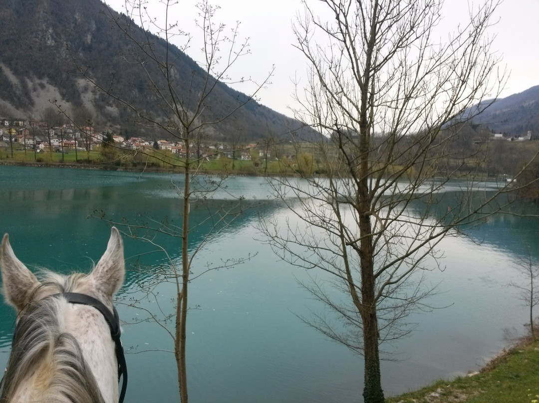 Horse Riding Club Ranch Pelance景点图片