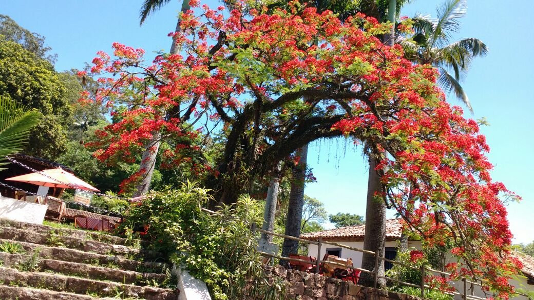 Fazenda Do Chocolate