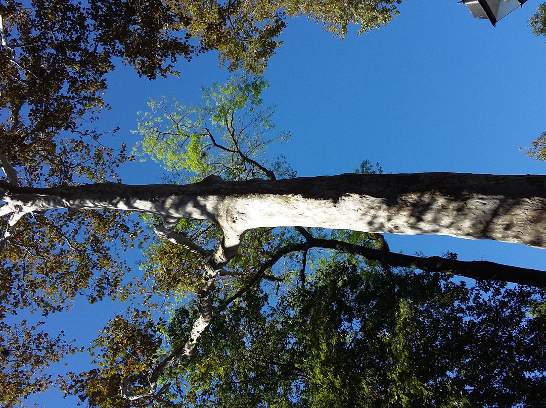 Parque Los Berros-哈拉帕必去景点