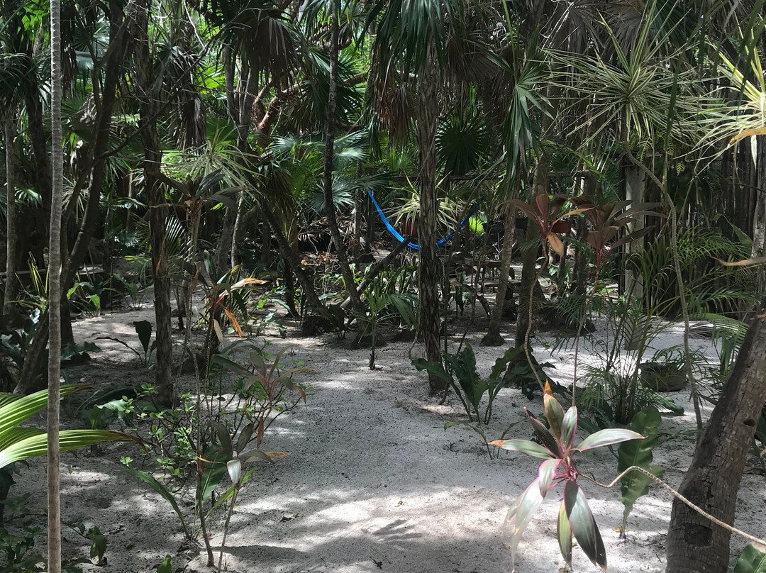 Casa Amor Del Sol主图