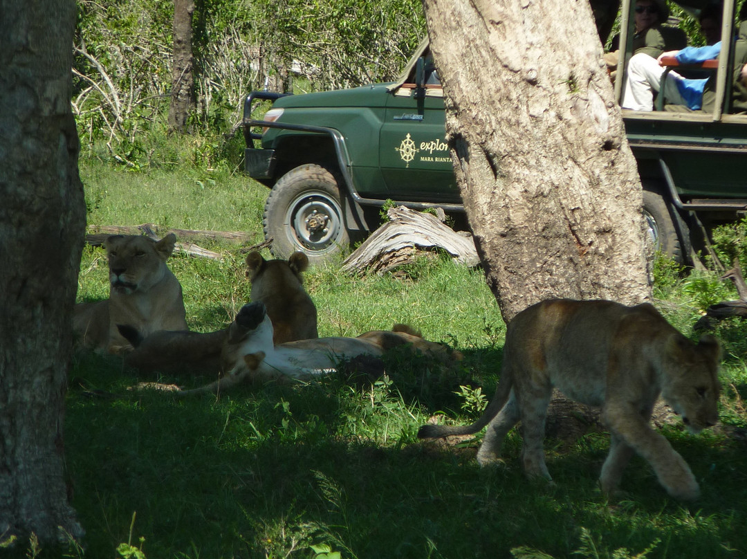 Ahotsun Safari 2000景点图片