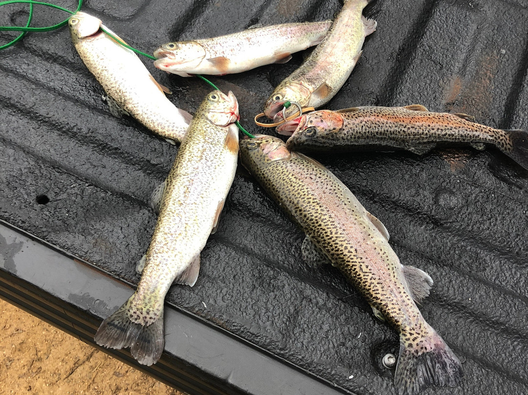 Blue River-Tishomingo必去景点