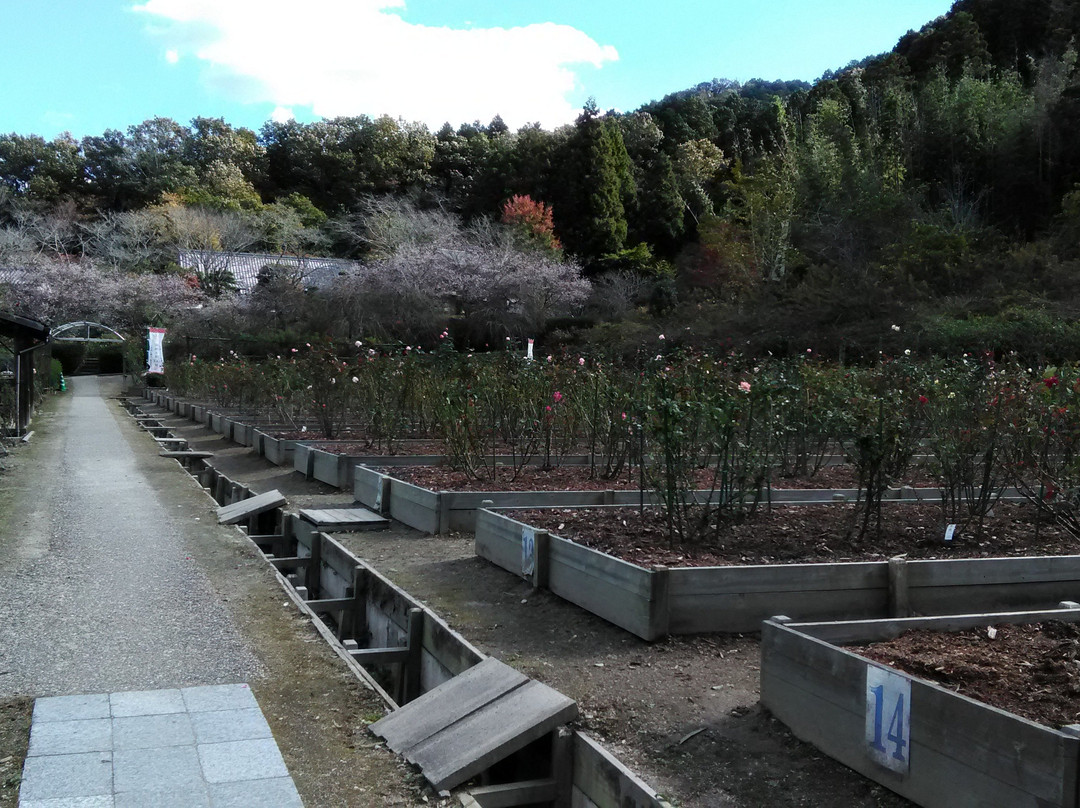 Okutonojinya-冈崎市必去景点