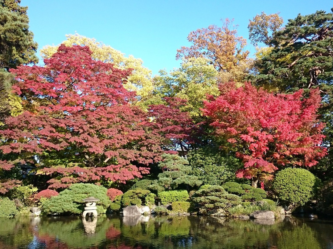 Momiji Park景点图片