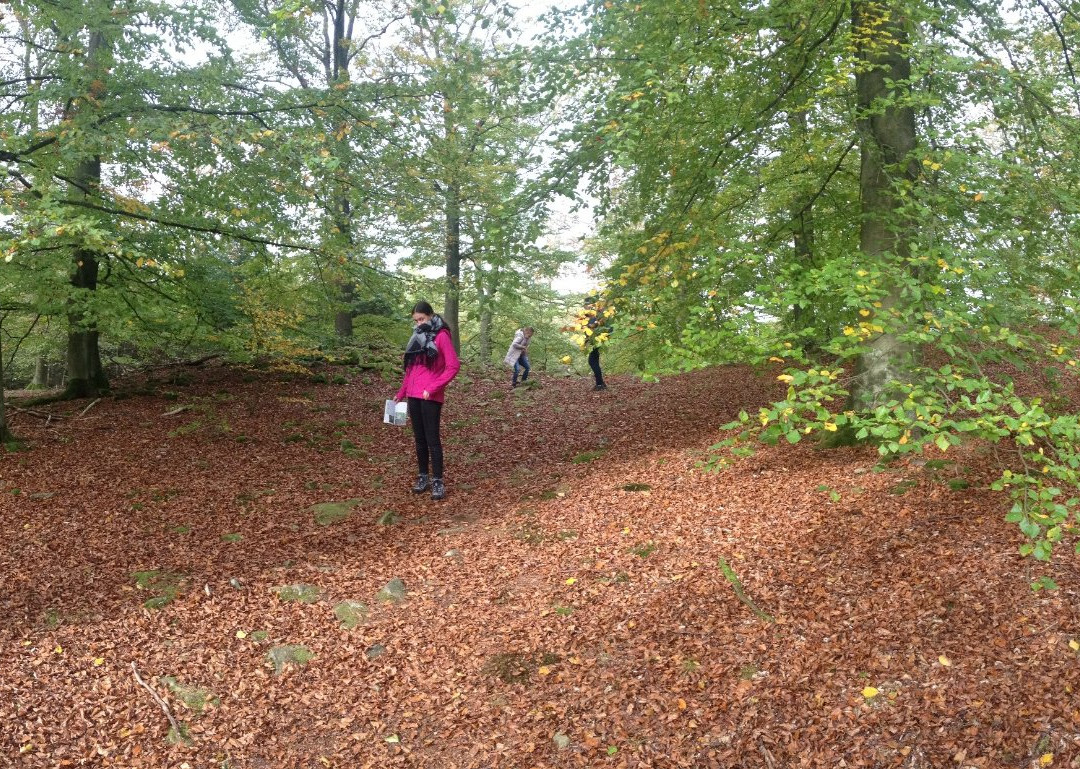 NationalparkZentrum Kellerwald-Vohl必去景点