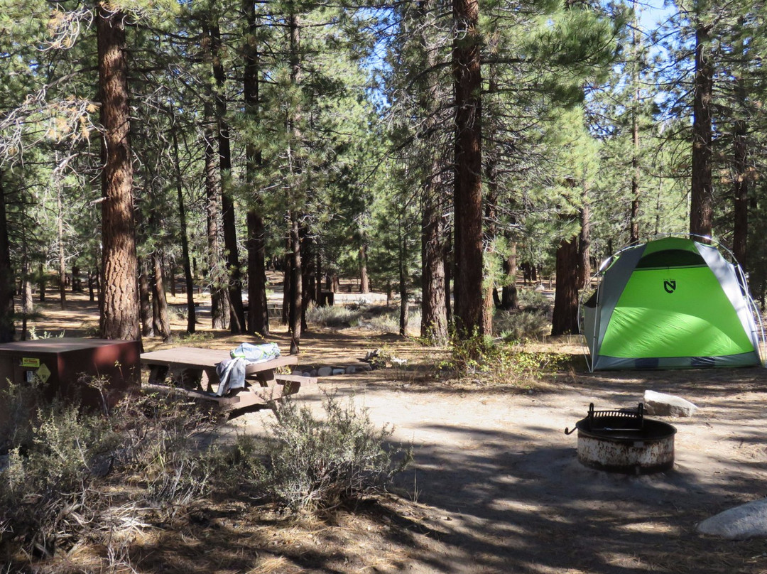 New Shady Rest Campground