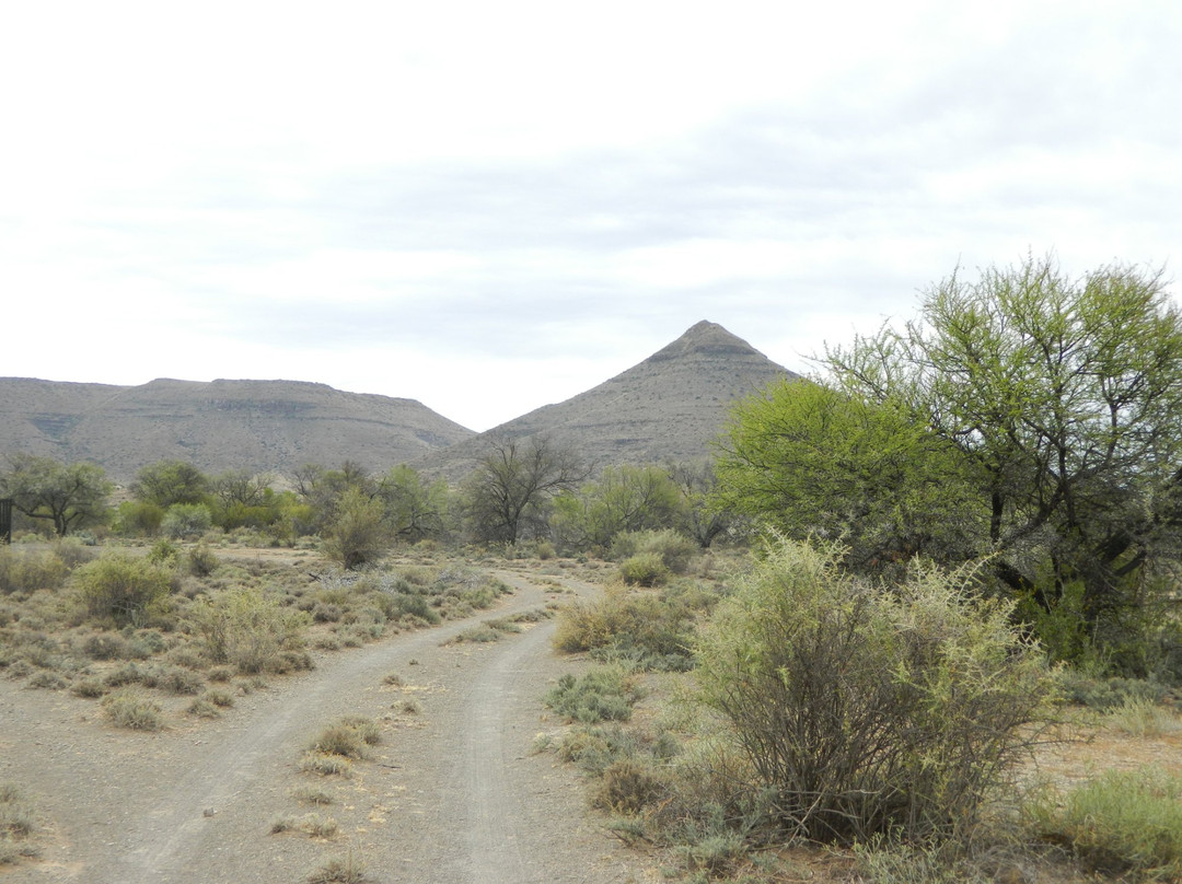 Taaiboschfontein主图