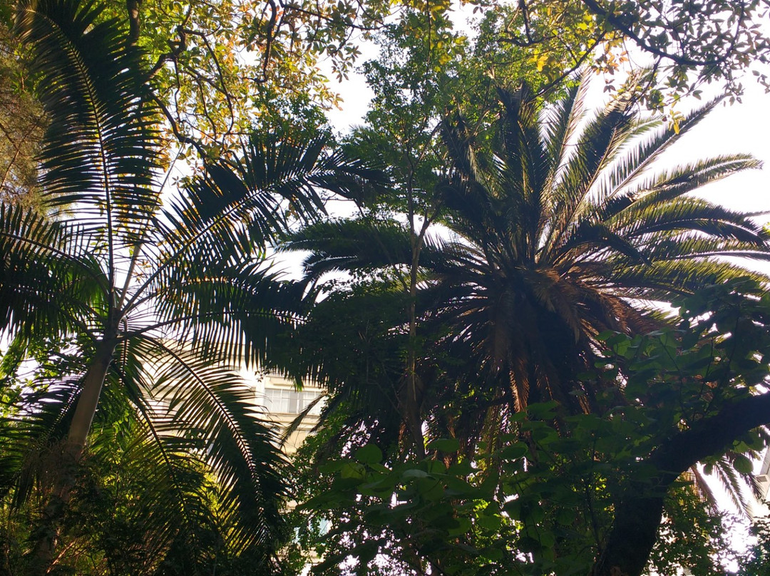 Parque Buenos Aires-圣保罗必去景点