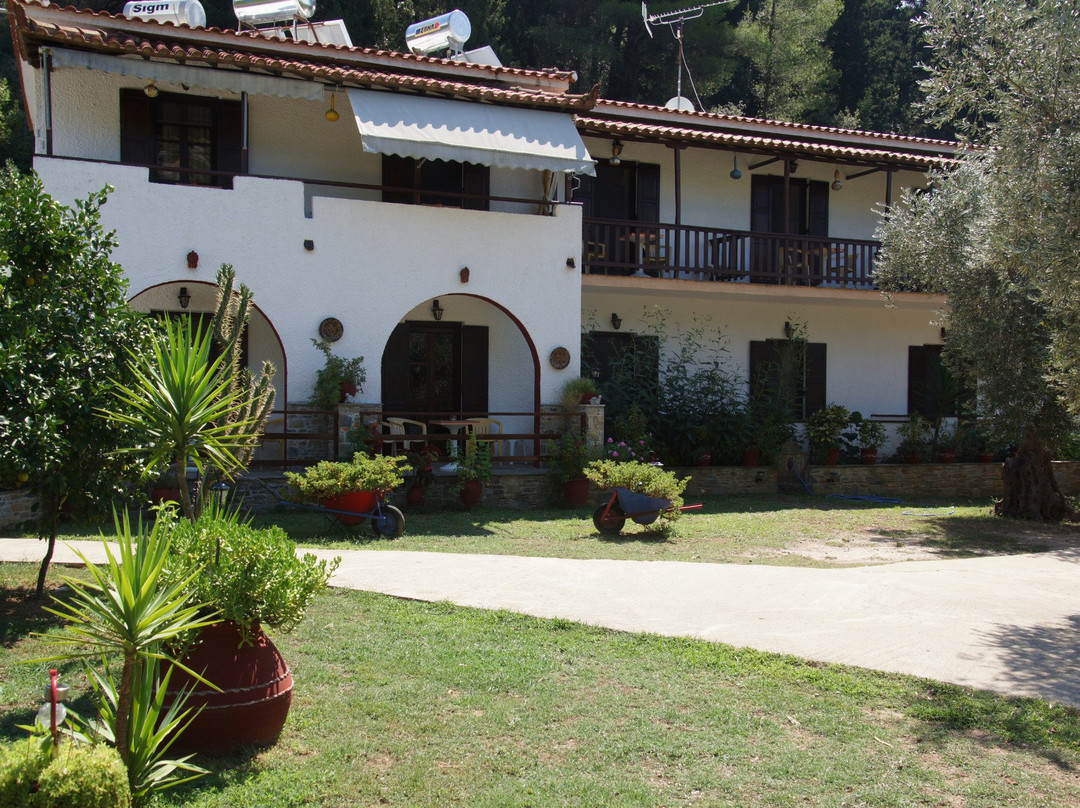 Skopelos Town旅游攻略图片