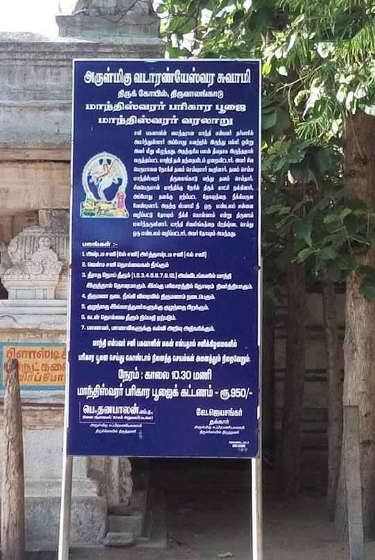 Sri Vadaranyeswarar Temple景点图片