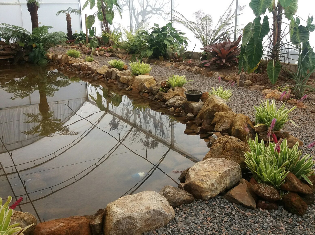 Fundação Jardim Botânico de Poços de Caldas-Pocos de Caldas必去景点