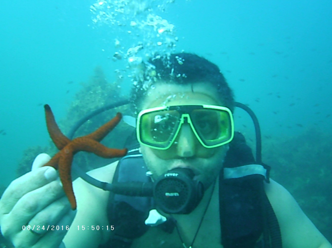 Subway Diving Centre-马赫迪耶必去景点