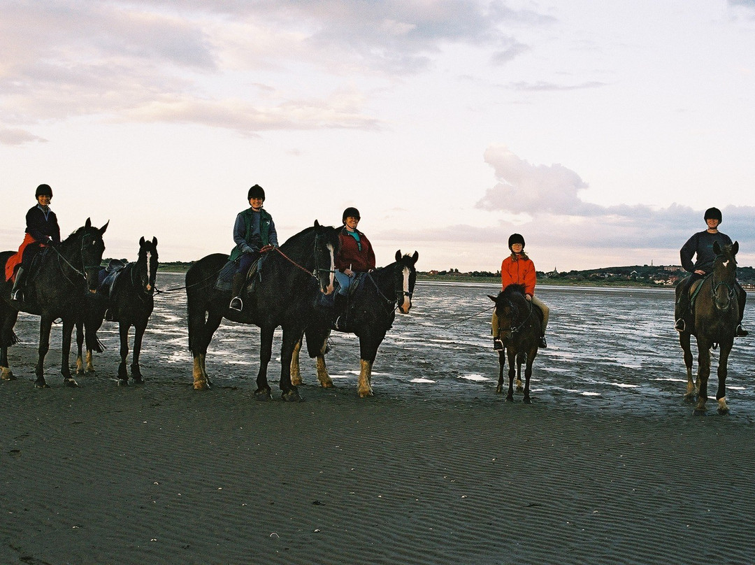 Park Lane Riding School-Meols必去景点