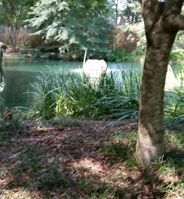 Mynelle Gardens景点图片