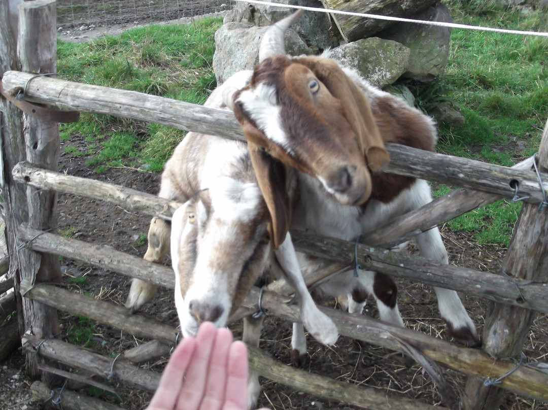 Fyffe View Ranch Adventure Park-Kaikoura必去景点