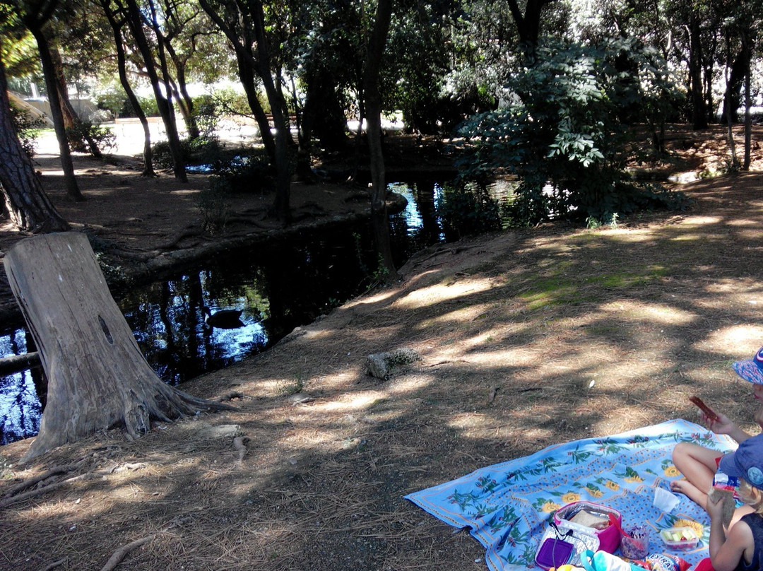 Parc des Oiseaux景点图片