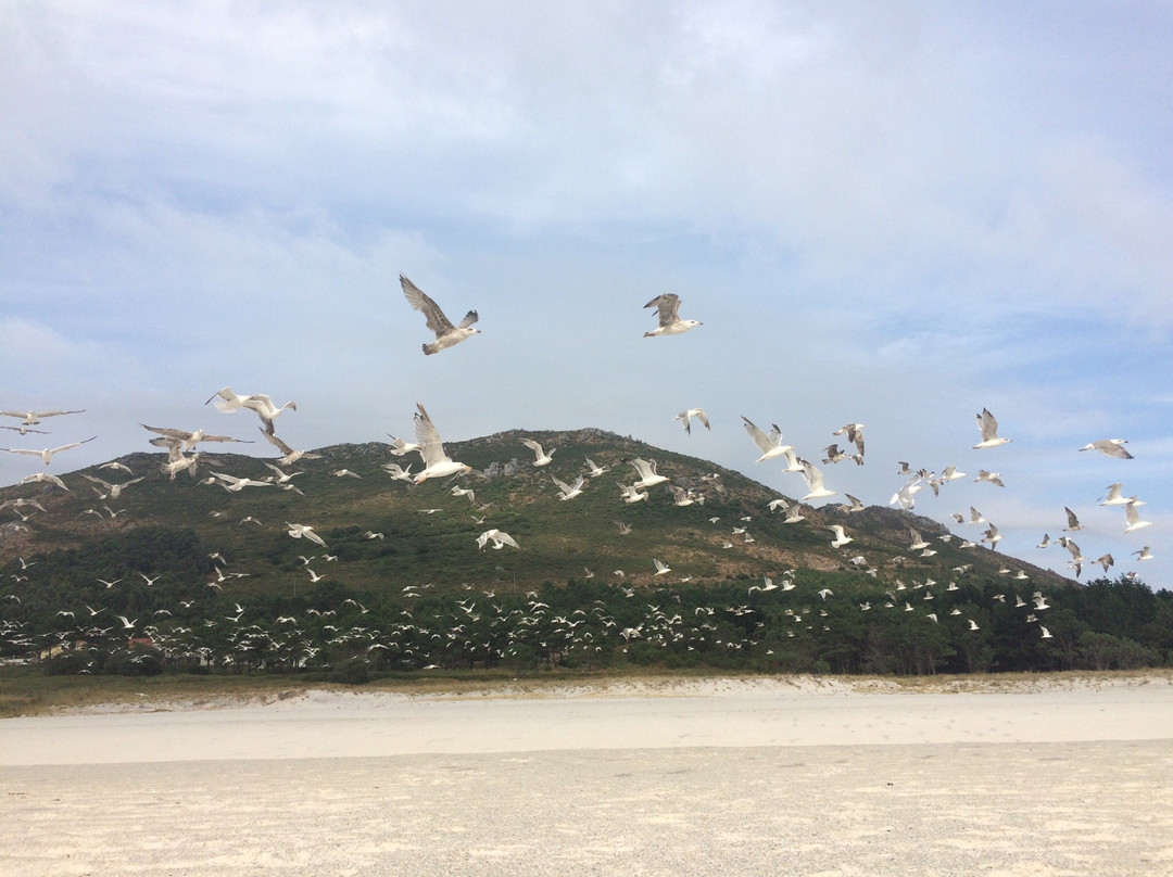 Playa Larino景点图片