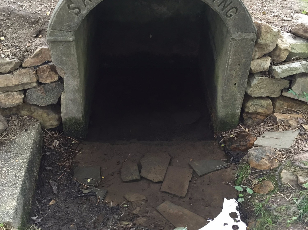 Underground Railroad Experience Trail Hikes-Sandy Spring必去景点