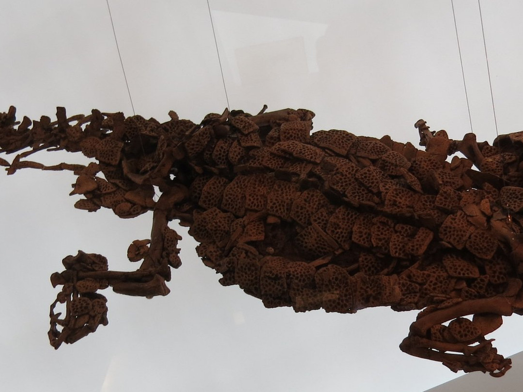 Fossilien und Heimatmuseum-Messel必去景点