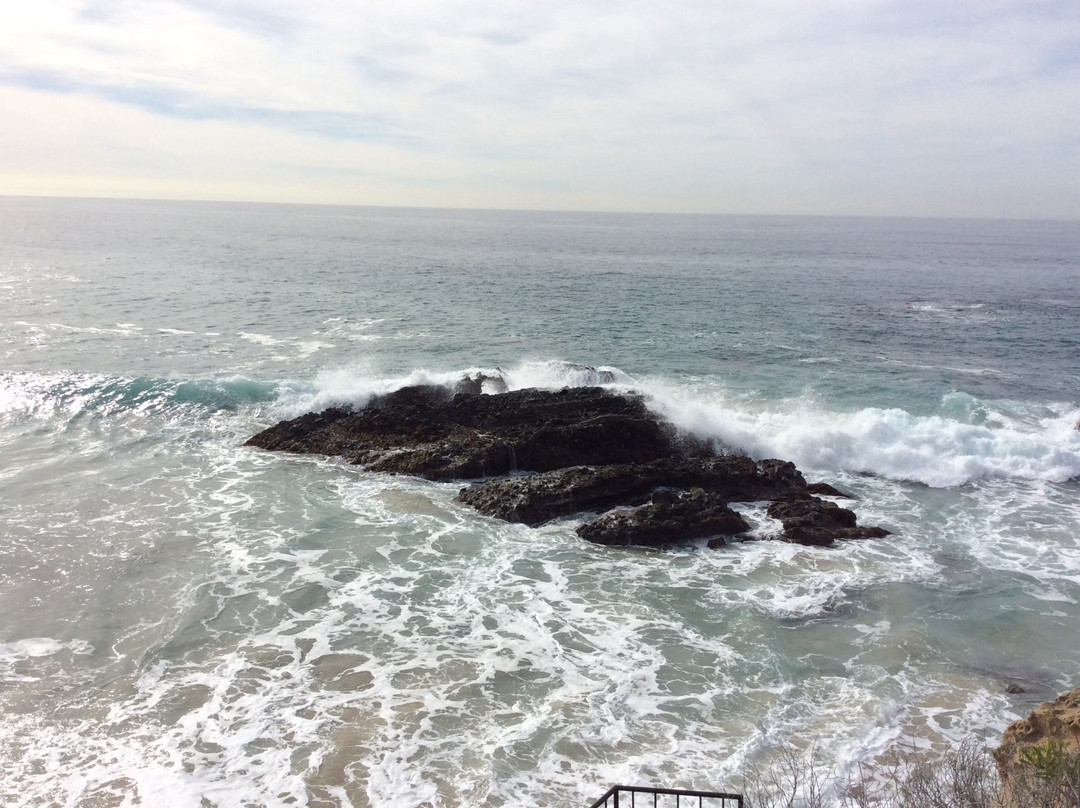 Glenn E. Vedder Ecological Reserve - Underwater Park and Tidepools-拉古纳海滩必去景点