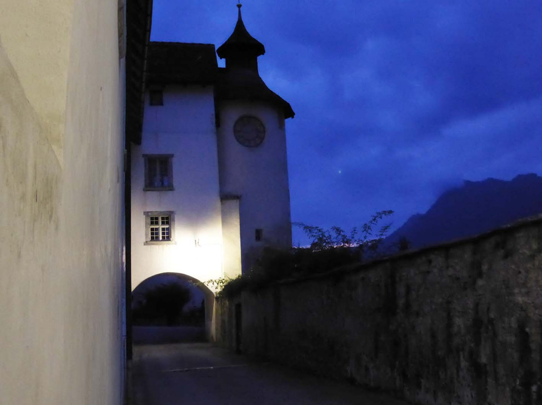 Castle Haldenstein景点图片