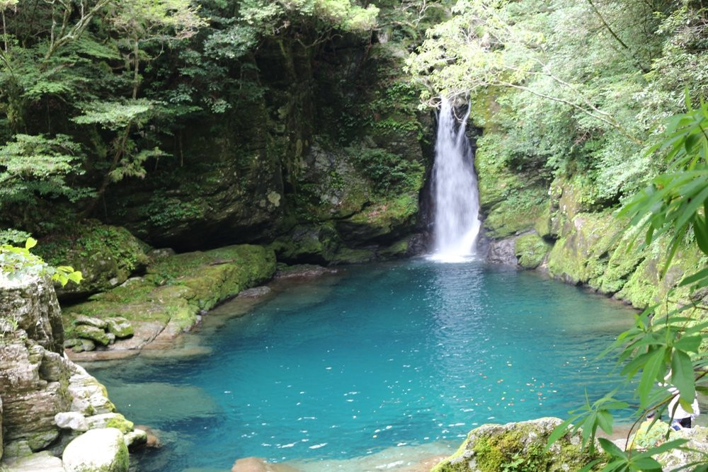 Niyodo River景点图片