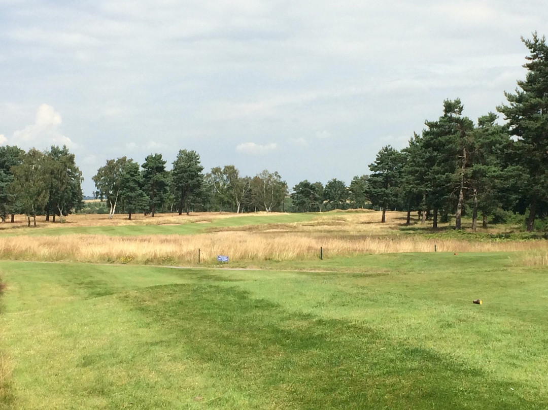 Sherwood Forest Golf Club景点图片