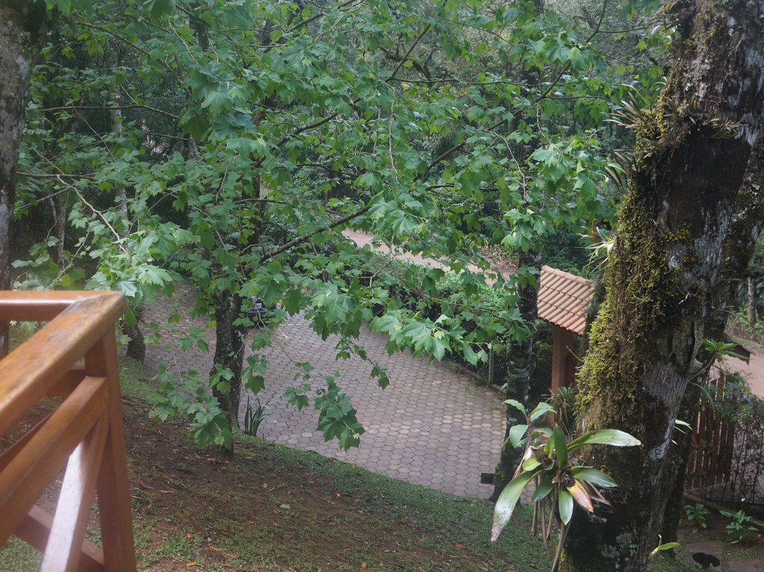 Gruta da Paz-Limeira必去景点