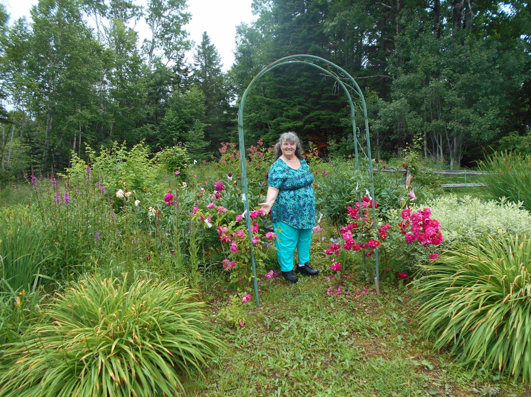 Au Jaune Soleil主图