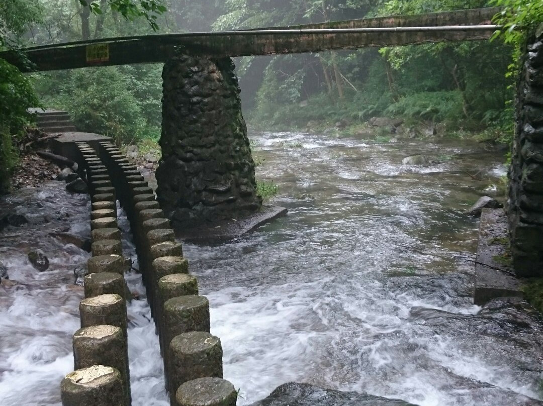 小溪保护区景点图片