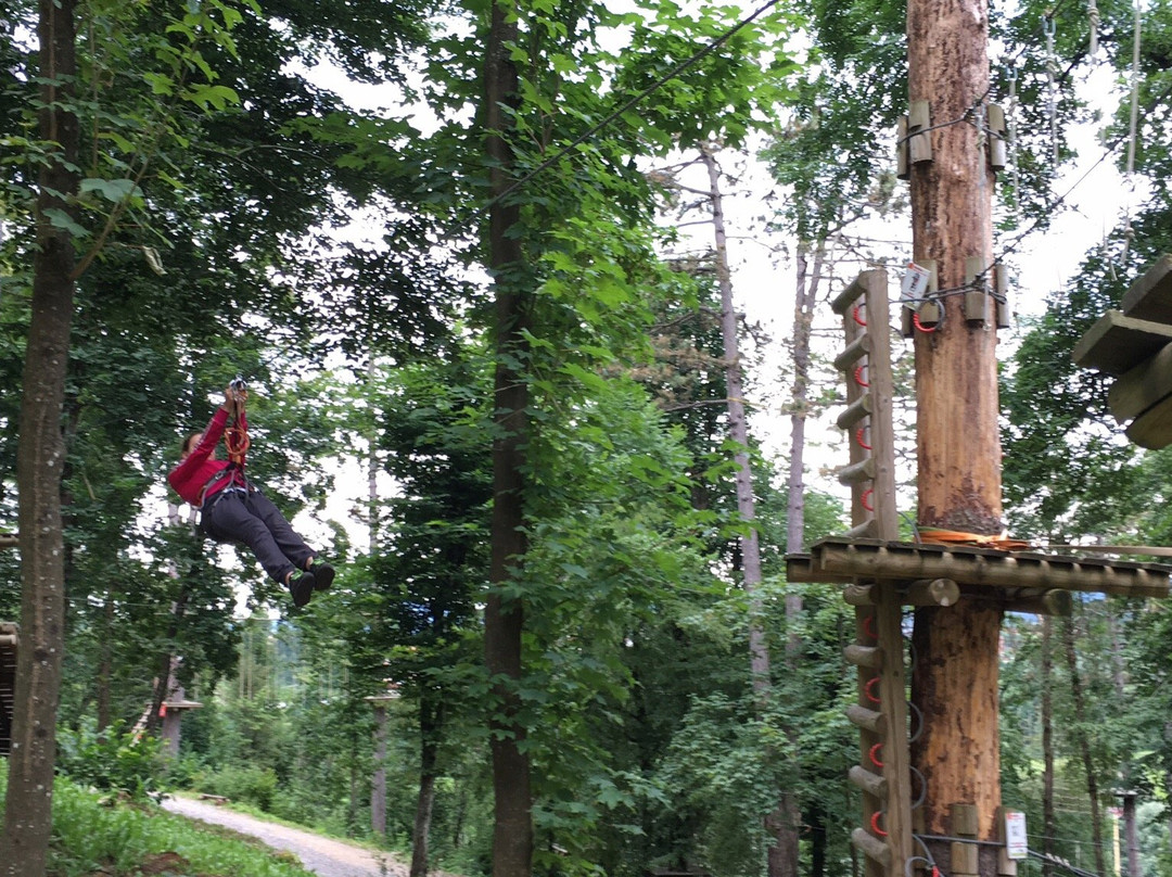 Adventure Park-波斯托伊纳必去景点