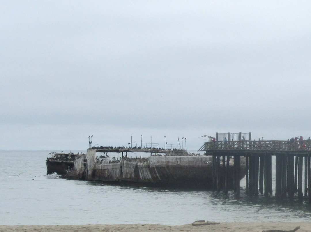 S.S. Palo Alto Concrete Ship景点图片