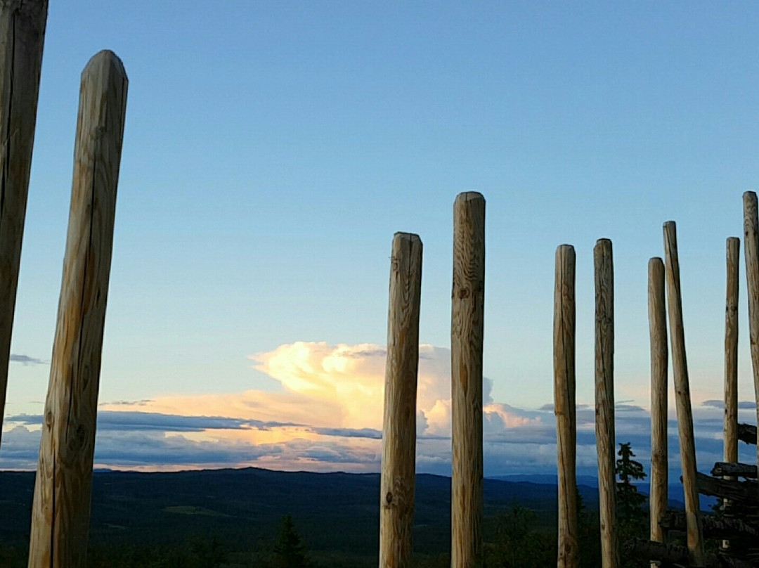 Liatoppen Fjellpark景点图片