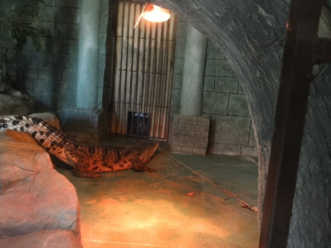 Balu Zoo-阿纳帕必去景点