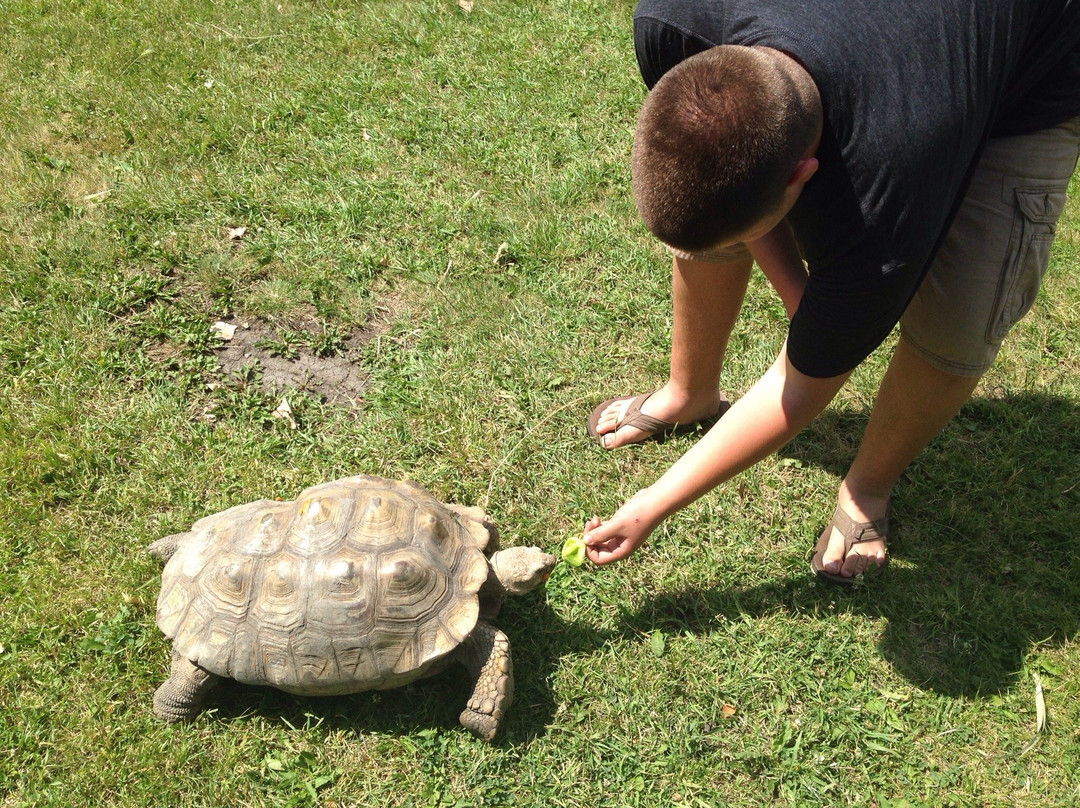Chahinkapa Zoo-Wahpeton必去景点