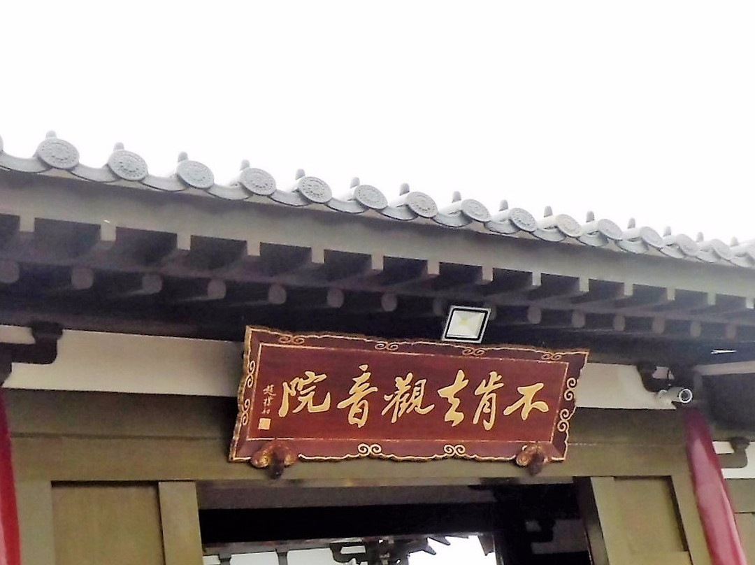 不肯去观音院-舟山市必去景点