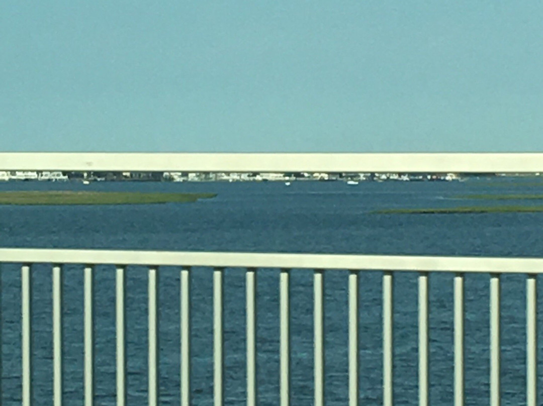 Great Egg Harbor Bay景点图片